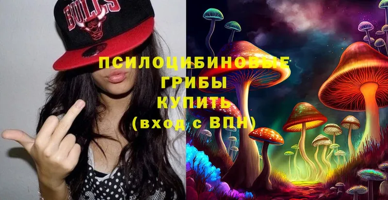 Псилоцибиновые грибы Magic Shrooms  где продают наркотики  Армавир 